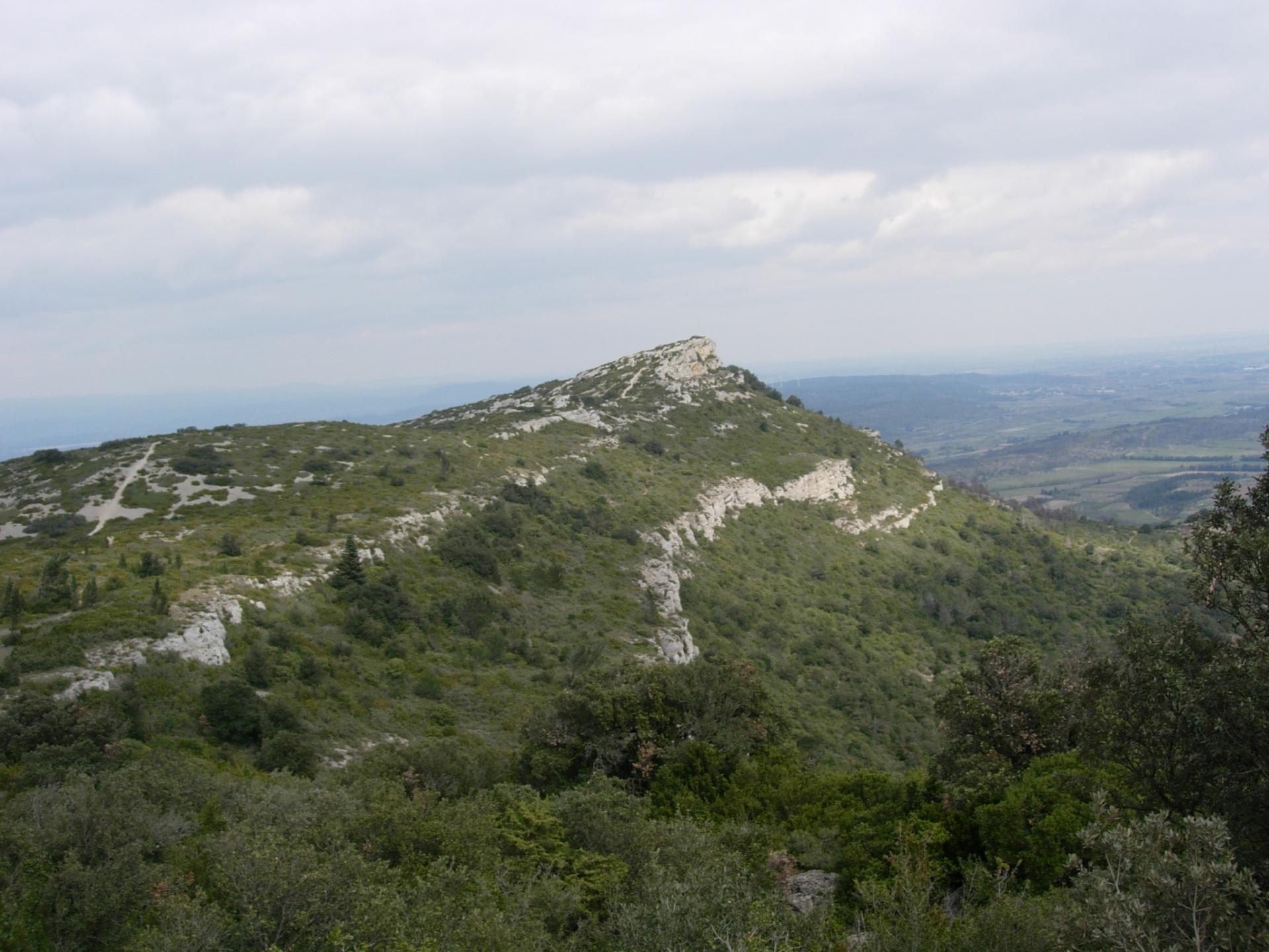 L'aigle d'argent de Fontcouverte