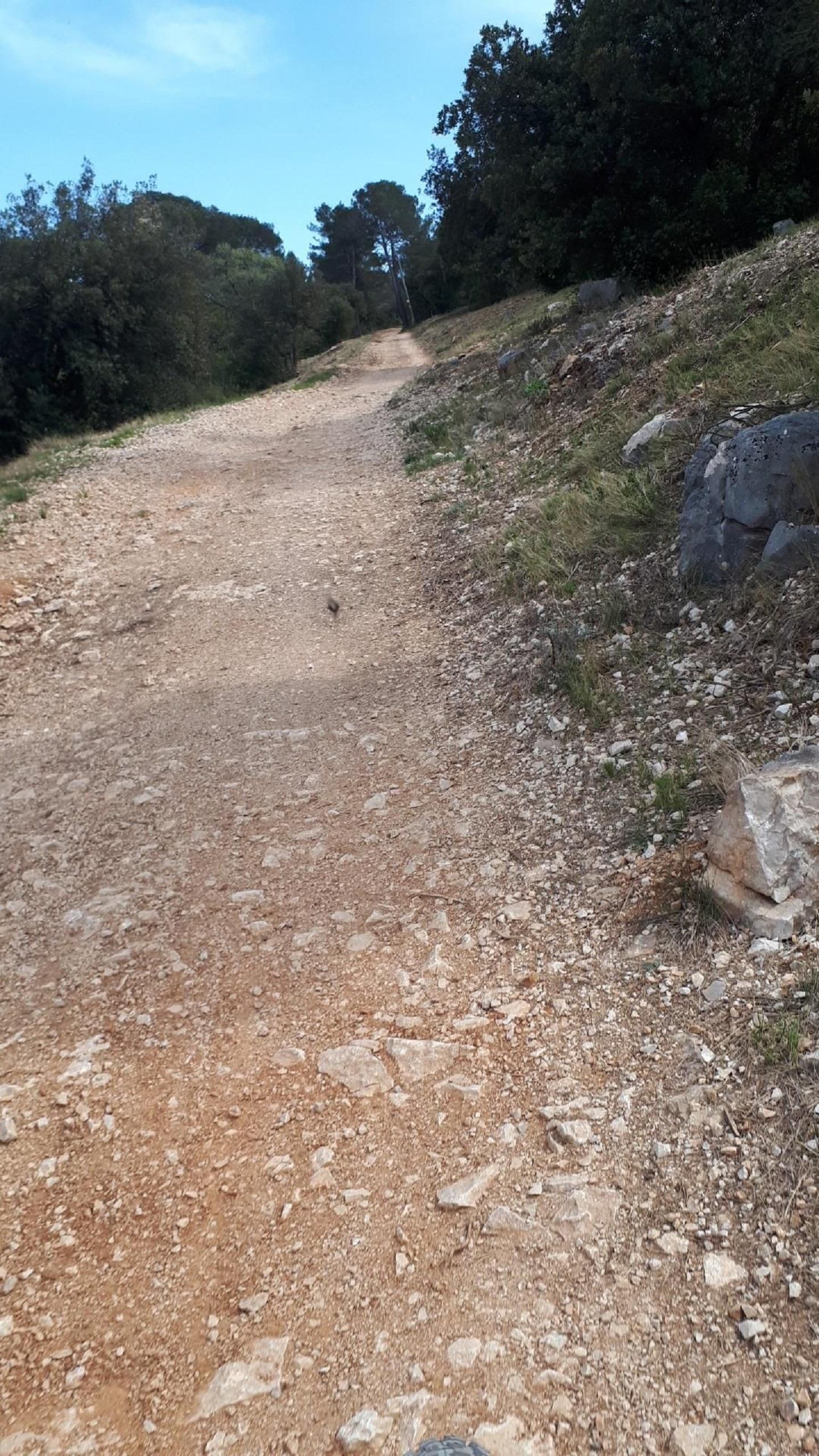 Aubagne - Louisiane + Pelengari : deux superbes descentes