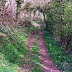 Chemin