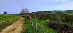 Chemin et paysage