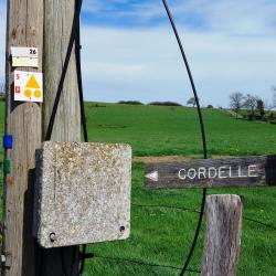 Saint Priest la Roche, balise des circuits VTT FFC de Cordelle