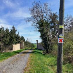 En haut de la montée après St Priest la Roche, lieu-dit Écorchechien