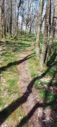 Single vers le Bois de Terrenoire (chicanes)
