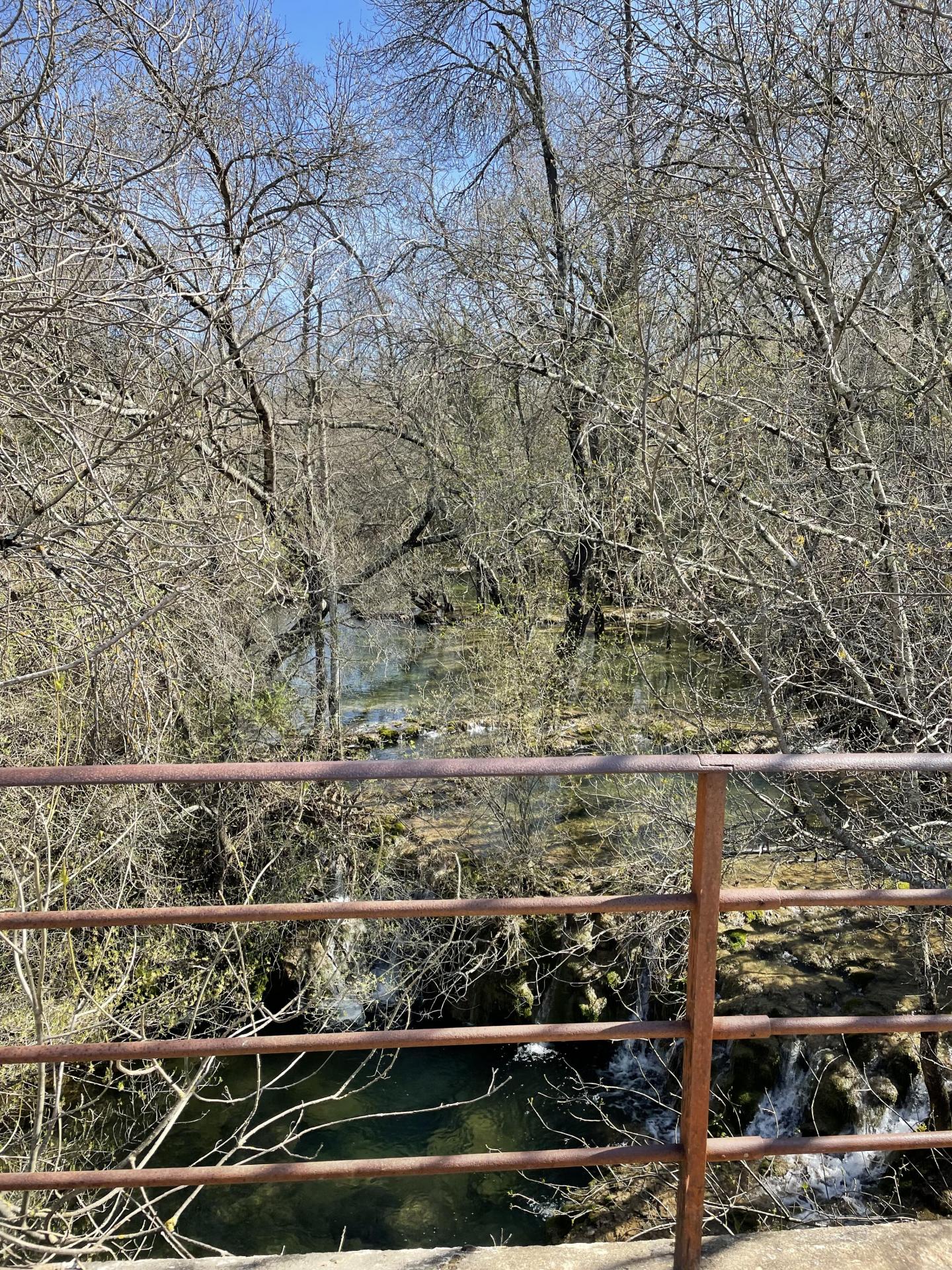 Entre l'Hortus et le Pic Saint-Loup