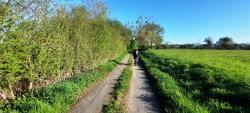 Vers Les Cours (Pouilly sous Charlieu)