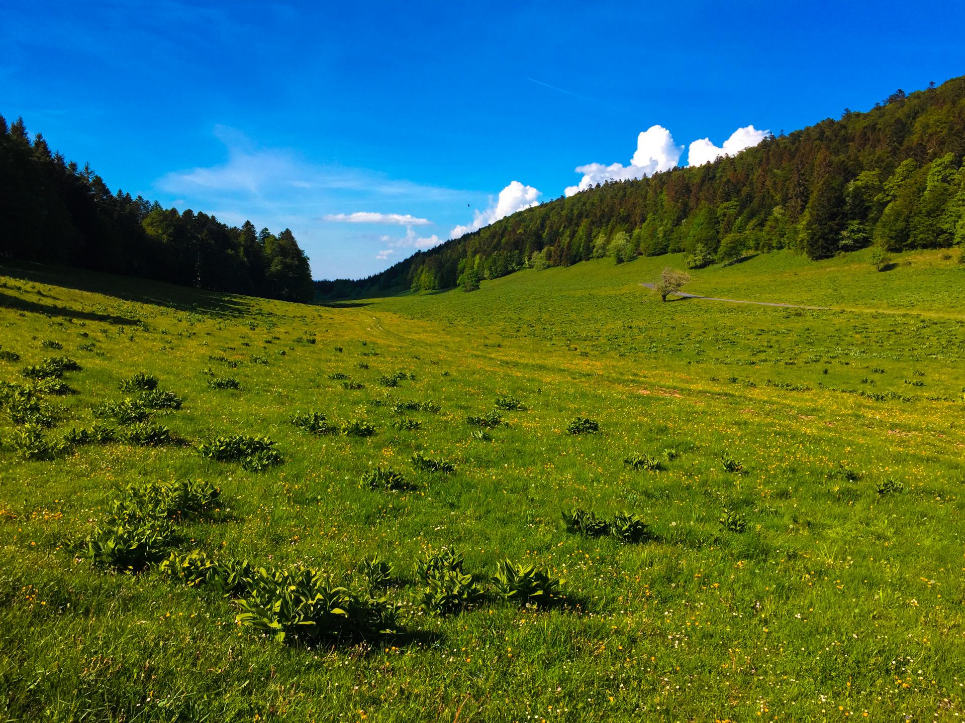 Espace VTT-FFC Ain-Forestière - Tour de Pays : Bugey - Grand Colombier