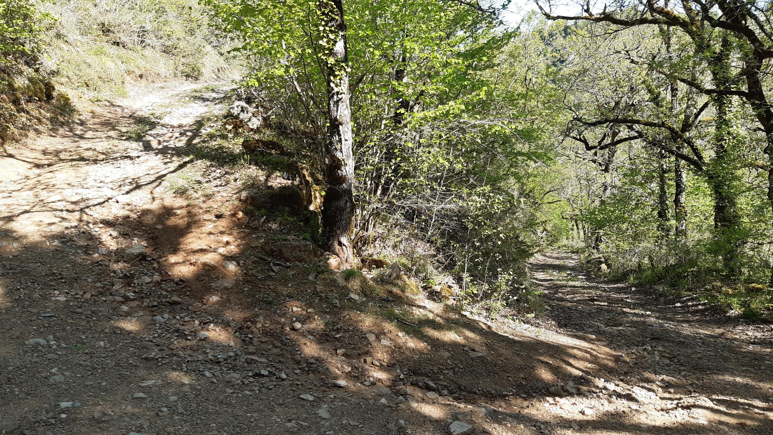 Lapanouse-de-Cernon - Circuit N° 3 : La vallée du Cernon