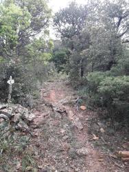 VTT-30641