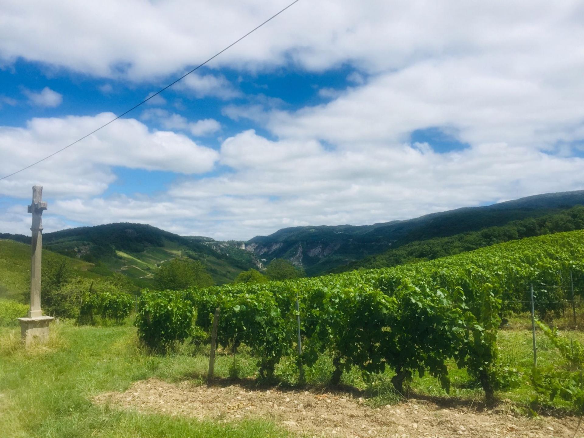 Entre vallée de l'Ain et Cerdon