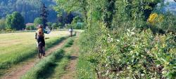 Descente vers Sainte Colombe sur Gand