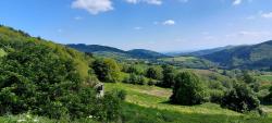 Paysage
