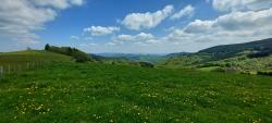 Vue sur la Montagne de Tarare
