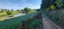 Bois de Sarre, étang