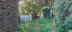La Clayette, single dans le Bois des Acacias