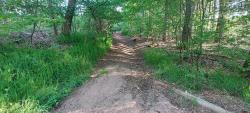Trappeloup, Bois de Sarre, montée ravinée