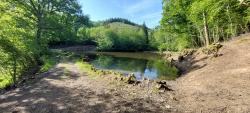Étang du Bois de Boeuf