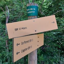 Totem du Bois de la Gueurce