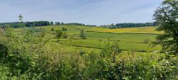 Bocage