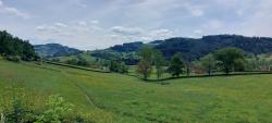 Paysage