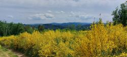 Vue sur le Mont Saint Cyr (771 m)