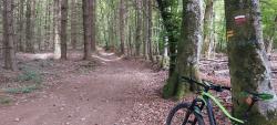 Sur le GR 7