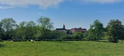 Clocher de Bois Sainte Marie