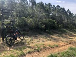 VTT-30855