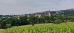 Saint André d'Apchon et son vignoble