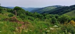 Vue sur la vallée du Rouchain