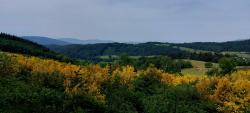 Vue sur le Haut Forez