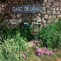 Laval