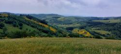 Vue sur Les Moulins Cherier