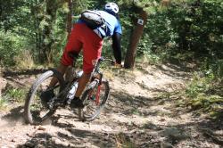 VTT-31019