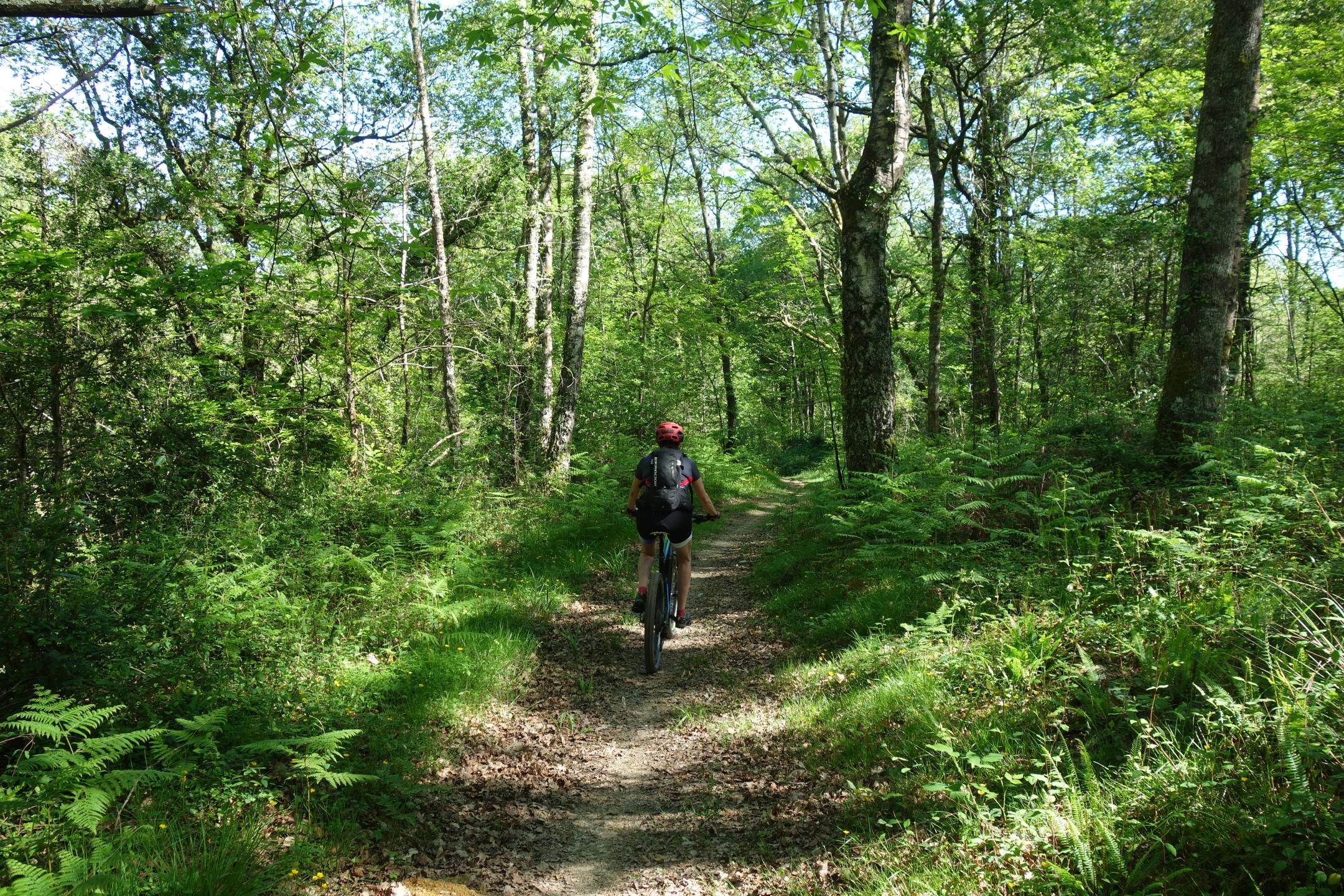 Ledeuix - Cardesse - Faget d'Oloron