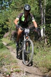 VTT-31133