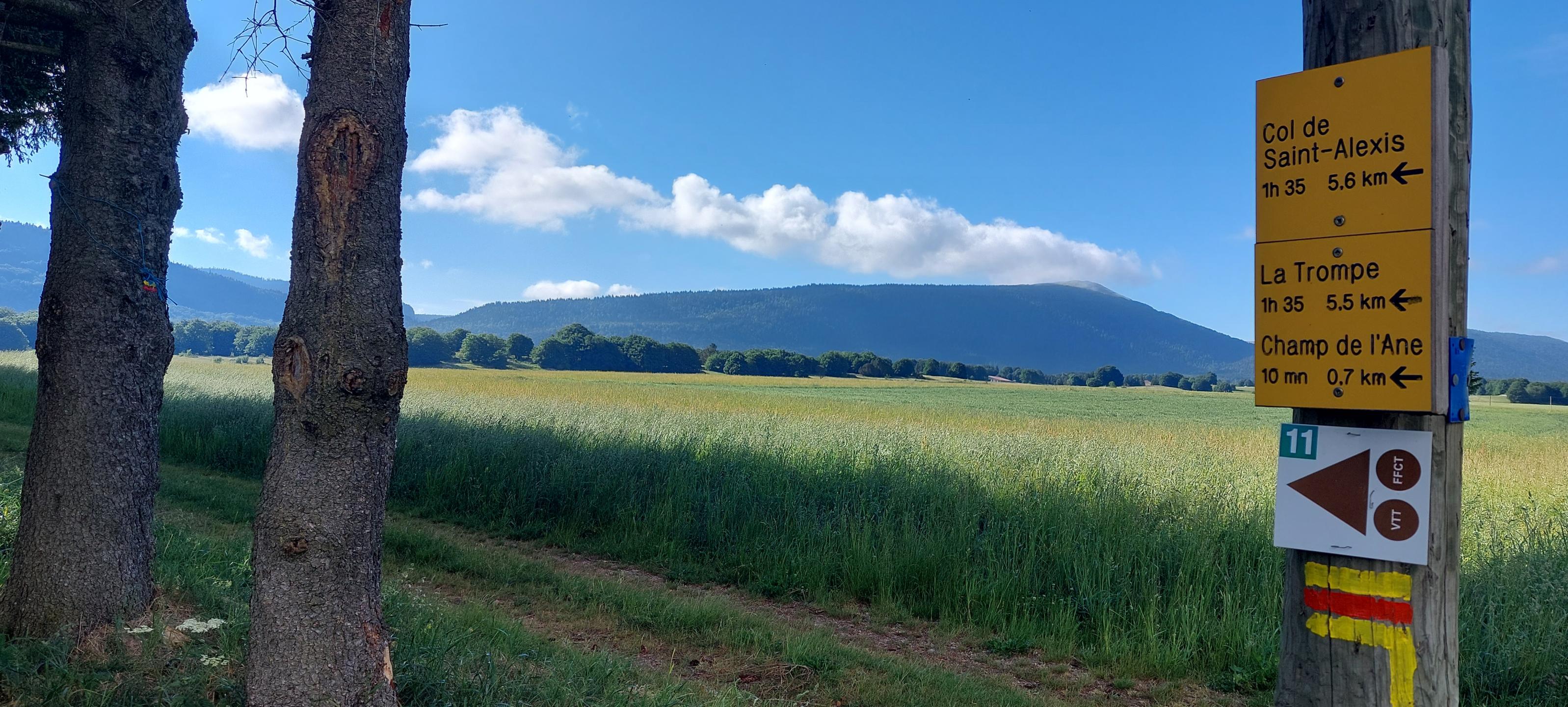 Base VTT-FFCT Royans-Vercors : Circuit N° 11 - La Frache