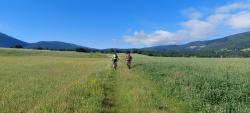 Piste agricole herbeuse