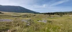 Paysage du Vercors