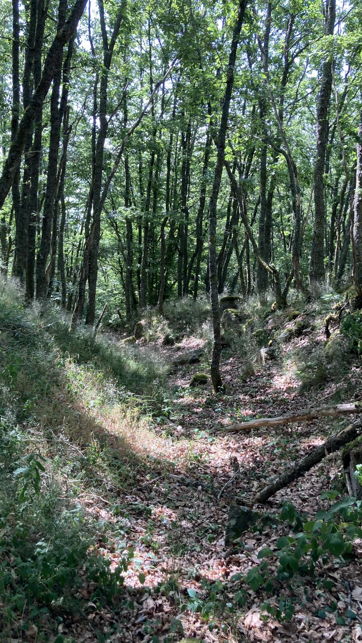 Petite boucle entre Châtelard, Mézir et Mataude