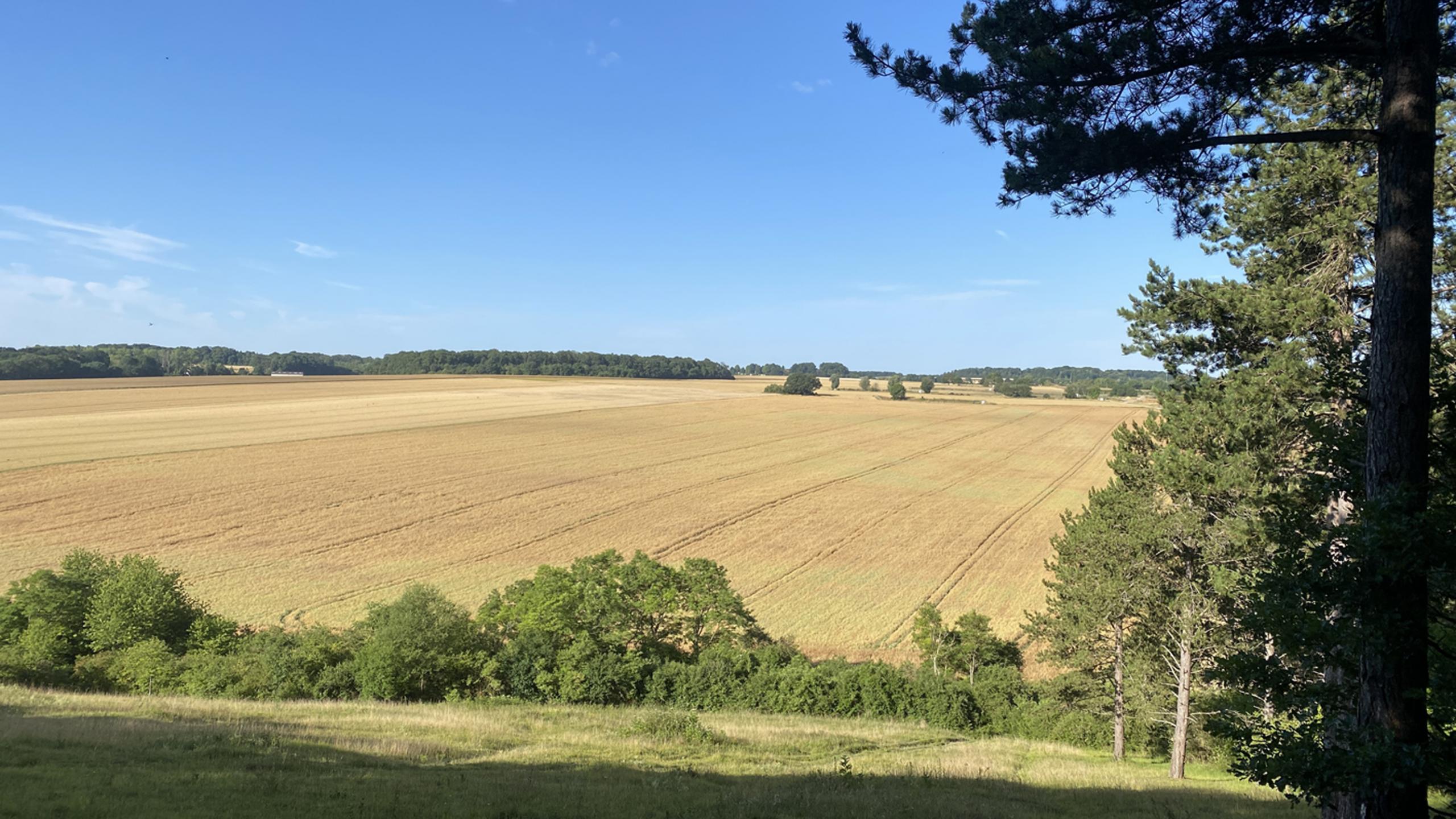 Boucle en forêt de Rosny-sur-Seine au départ de Bennecourt