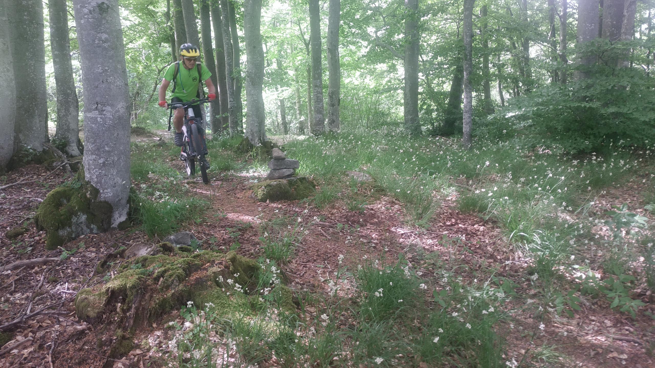 Marche à l'ombre