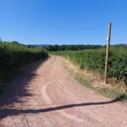 Le Vitat vers le Bure