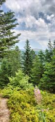 Vue sur Le Hohneck