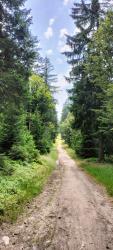 Chemin Morel