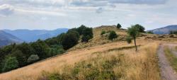Single vers La Bresse