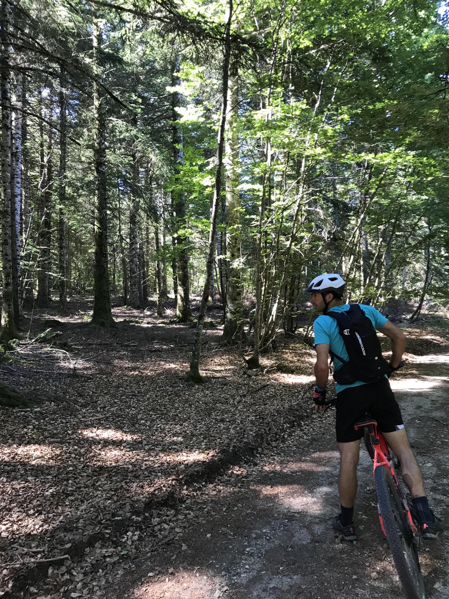 Grande descente Mont Aigoual - Le Vigan