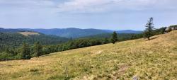 Au pied du Hohneck