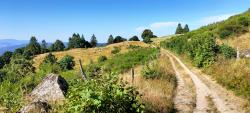 Chemin sur la Crète