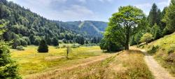 Vallon des Feignes 