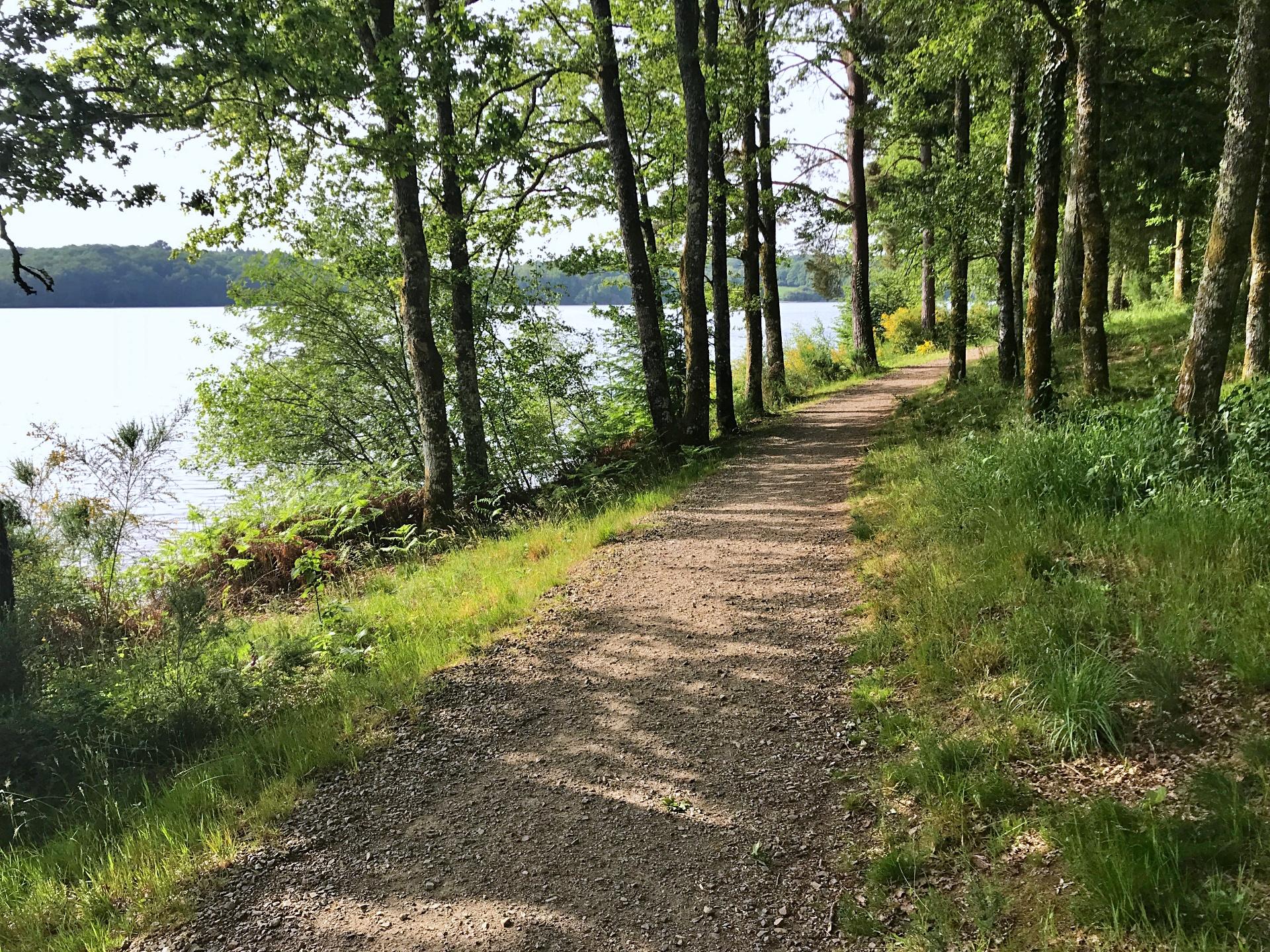 Espace VTT-FFC des Monts de Blond - Circuit n°19 : Le pont de la Breuilhe